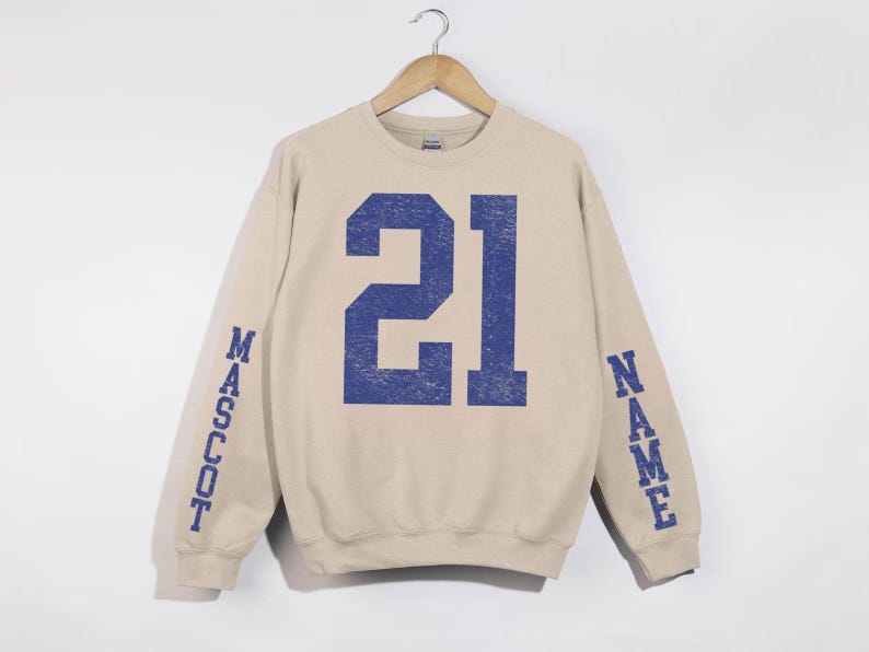 Vintage Distressed Custom Team Sweatshirt, Custom Name Mascot Sleeve Print Athletic Pullover