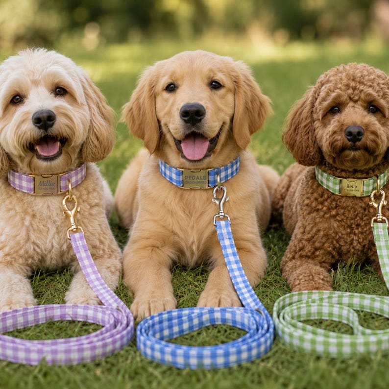 Personalized Gingham Dog Collar & Leash Set With Engraved ID Buckle