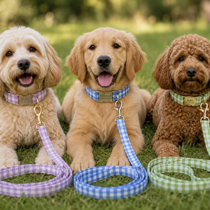 Personalized Gingham Dog Collar & Leash Set With Engraved ID Buckle
