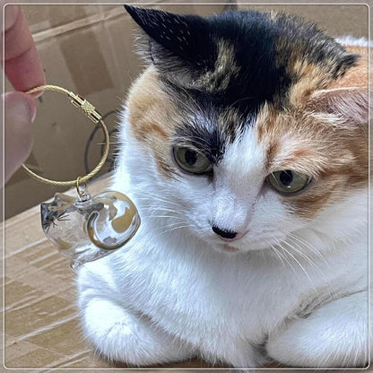 Custom Pet Hair Keepsake Keychain, Personalized Clear Pet Fur Storage Key Ring