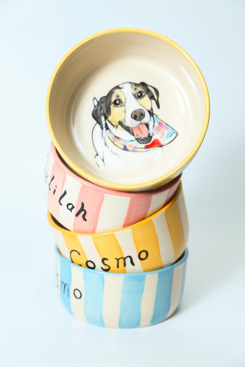 Custom Illustrated Checkered Ceramic Pet Bowl