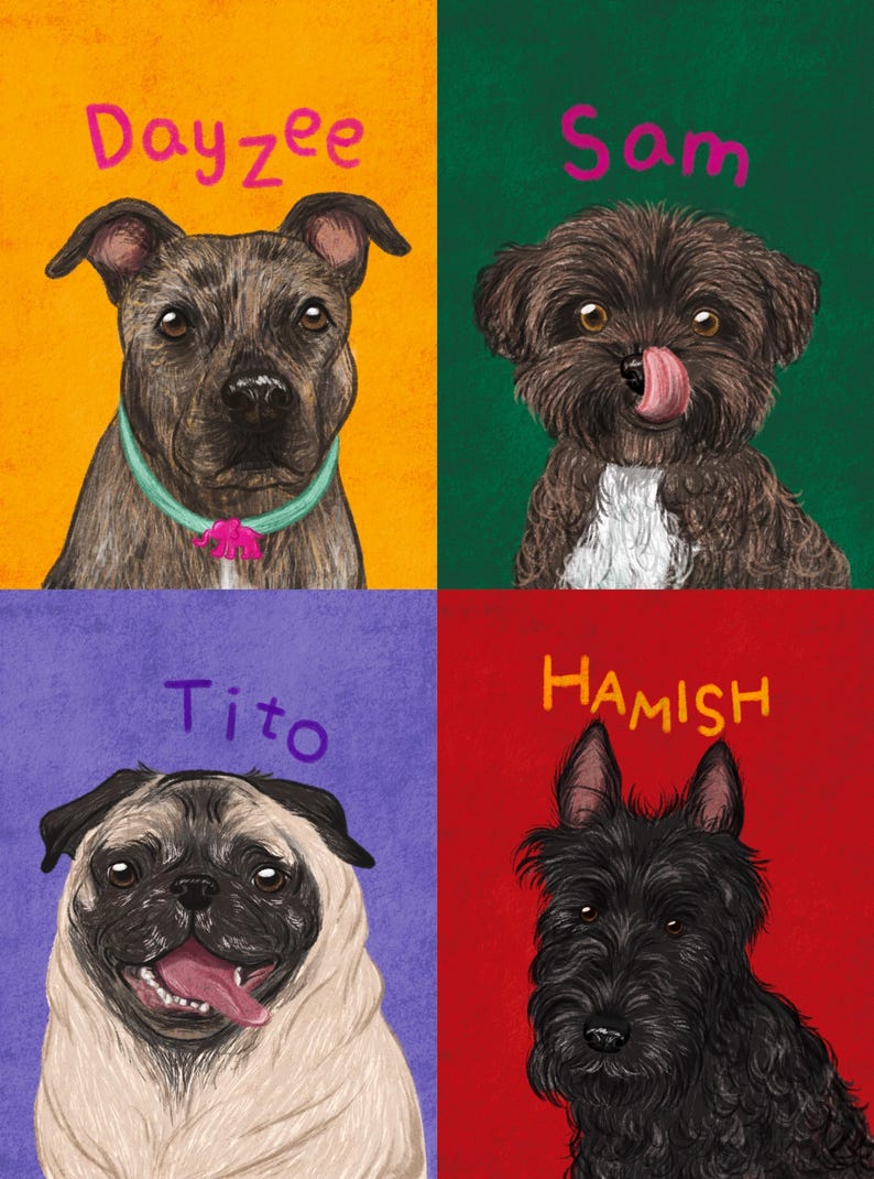Personalized Hand-Drawn Starry Pet Portrait