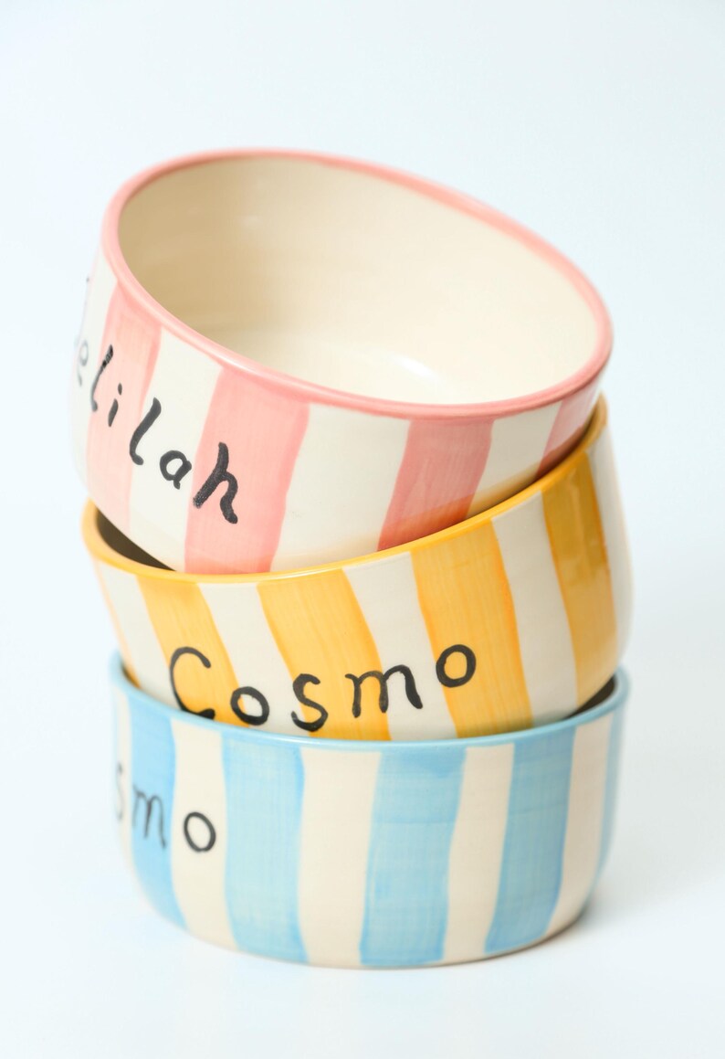 Custom Illustrated Checkered Ceramic Pet Bowl