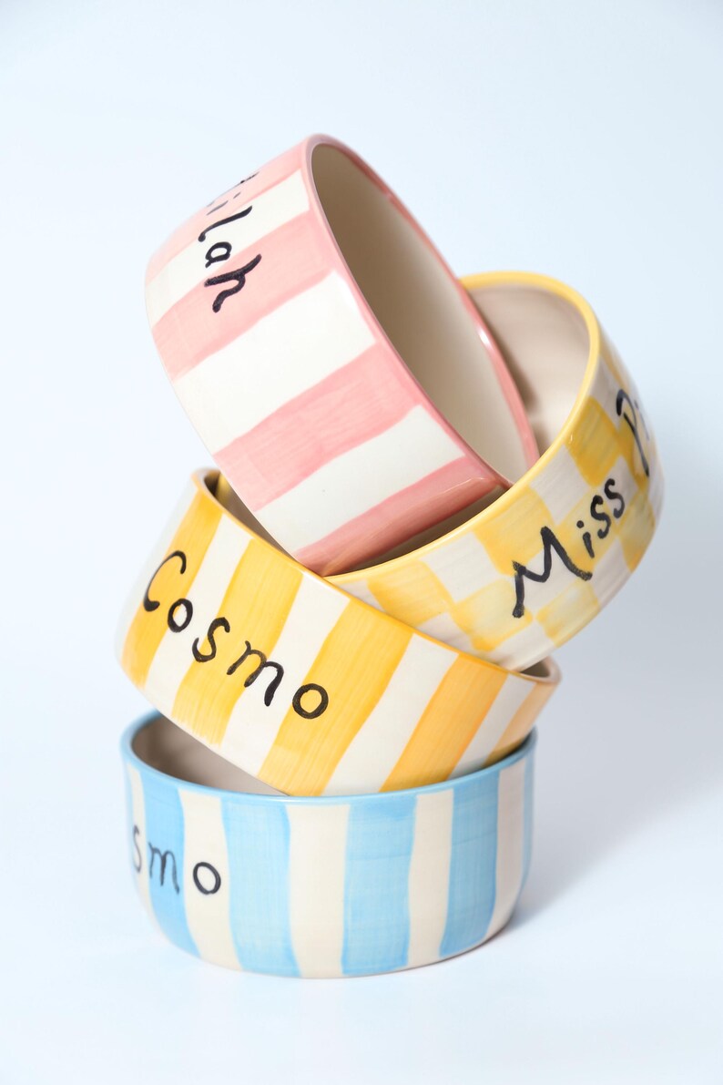 Custom Illustrated Checkered Ceramic Pet Bowl