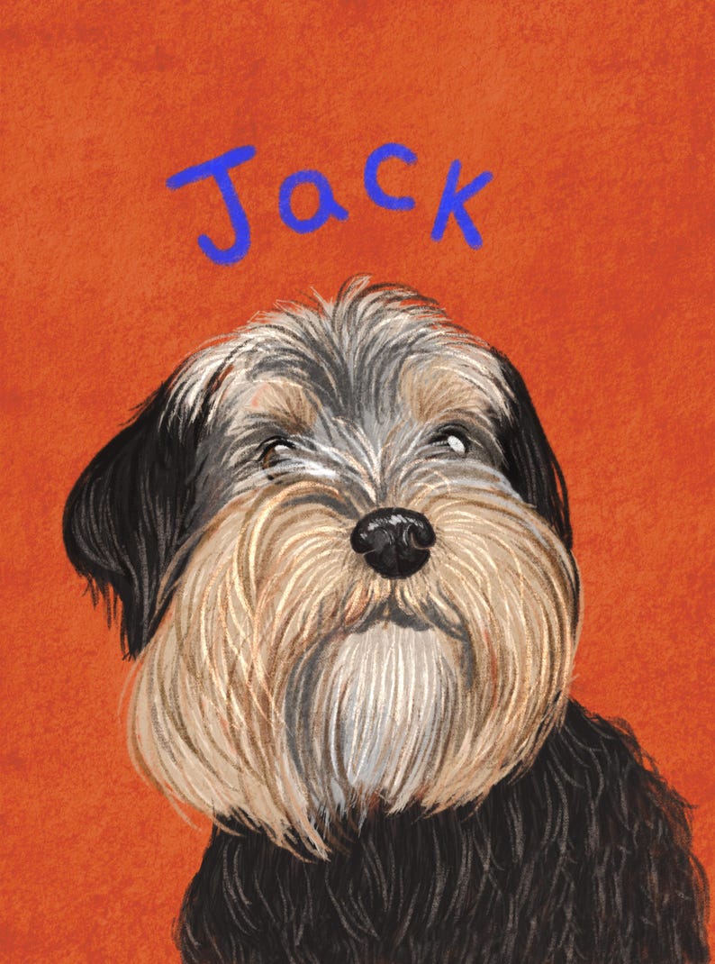 Personalized Hand-Drawn Starry Pet Portrait