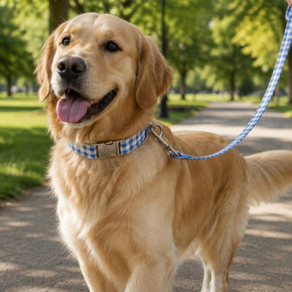 Personalized Gingham Dog Collar & Leash Set With Engraved ID Buckle
