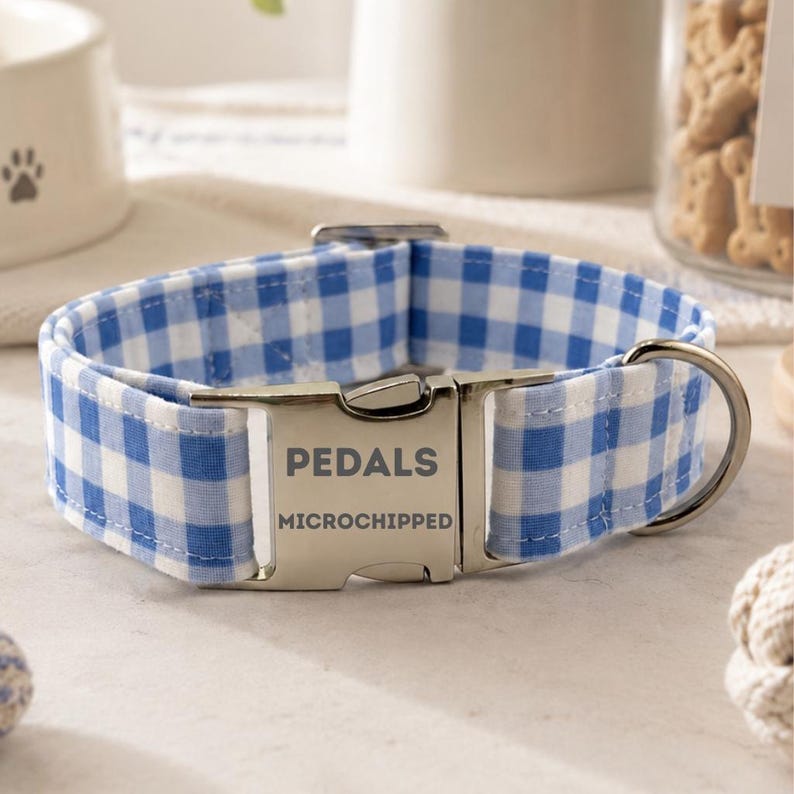 Personalized Gingham Dog Collar & Leash Set With Engraved ID Buckle