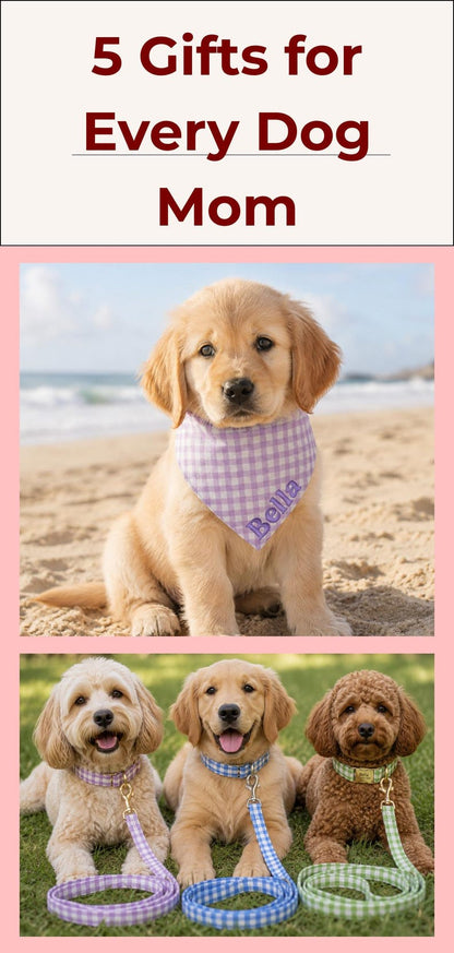 Personalized Gingham Dog Collar & Leash Set With Engraved ID Buckle