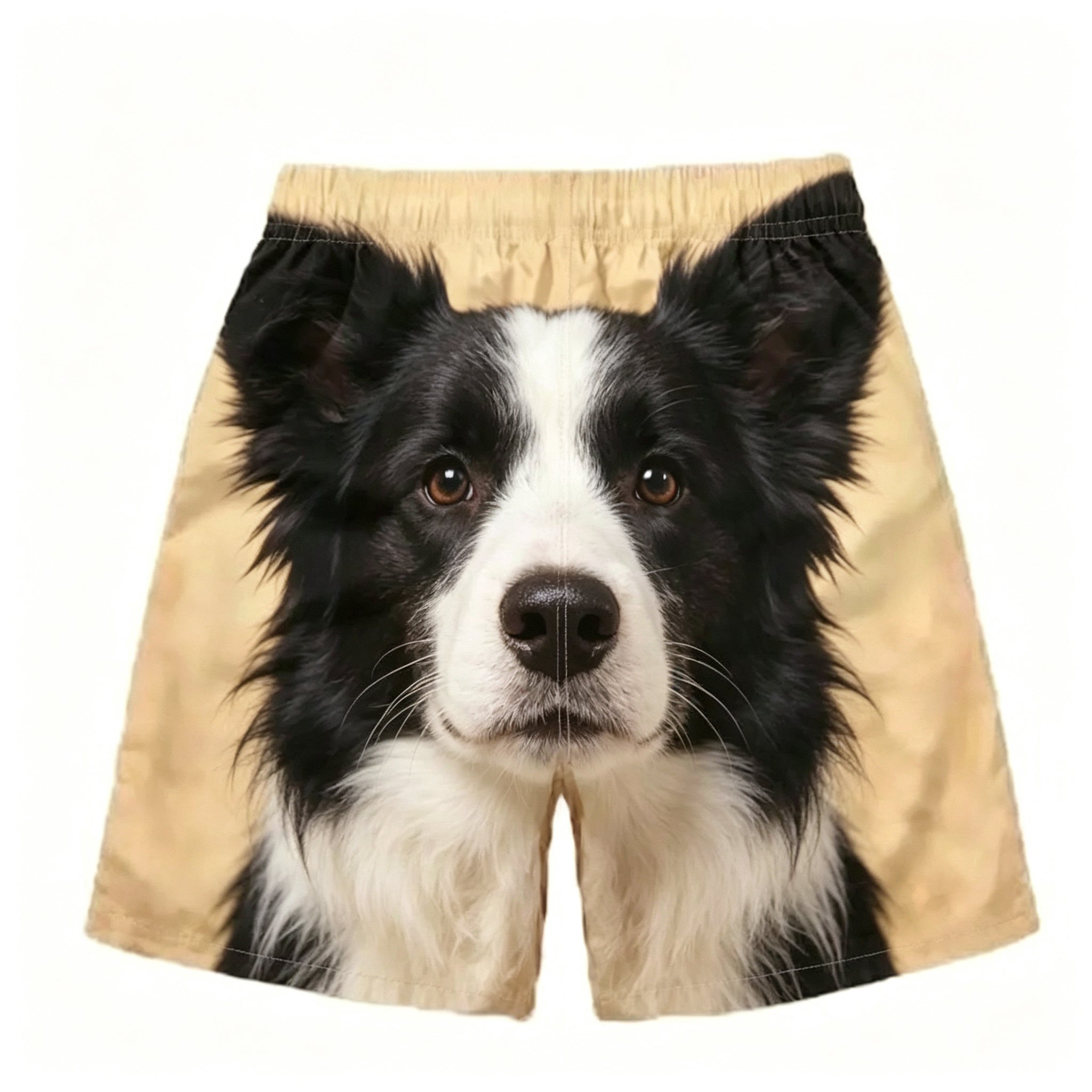 Custom Pet Photo Shorts