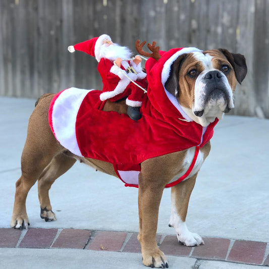 Santa Riding Dog Christmas Pet Costume