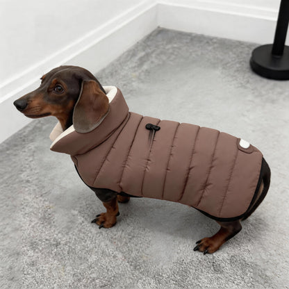 Dachshund Winter Puffer Coat