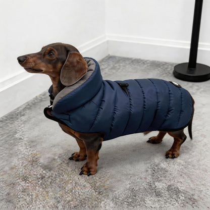 Dachshund Winter Puffer Coat