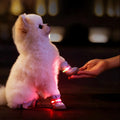 Night Walking Dog Shoes - Soft Breathable Ultra