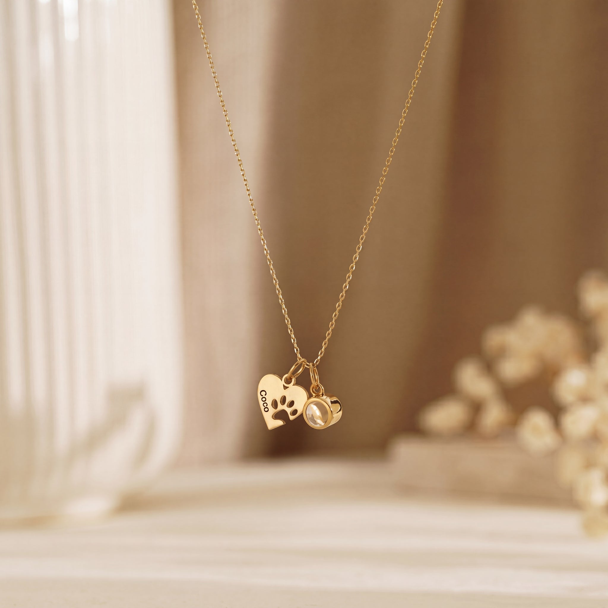 Custom Pet Photo Projection Necklace Engraved Paw Heart Pendant