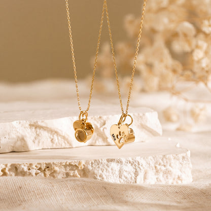 Custom Pet Photo Projection Necklace Engraved Paw Heart Pendant