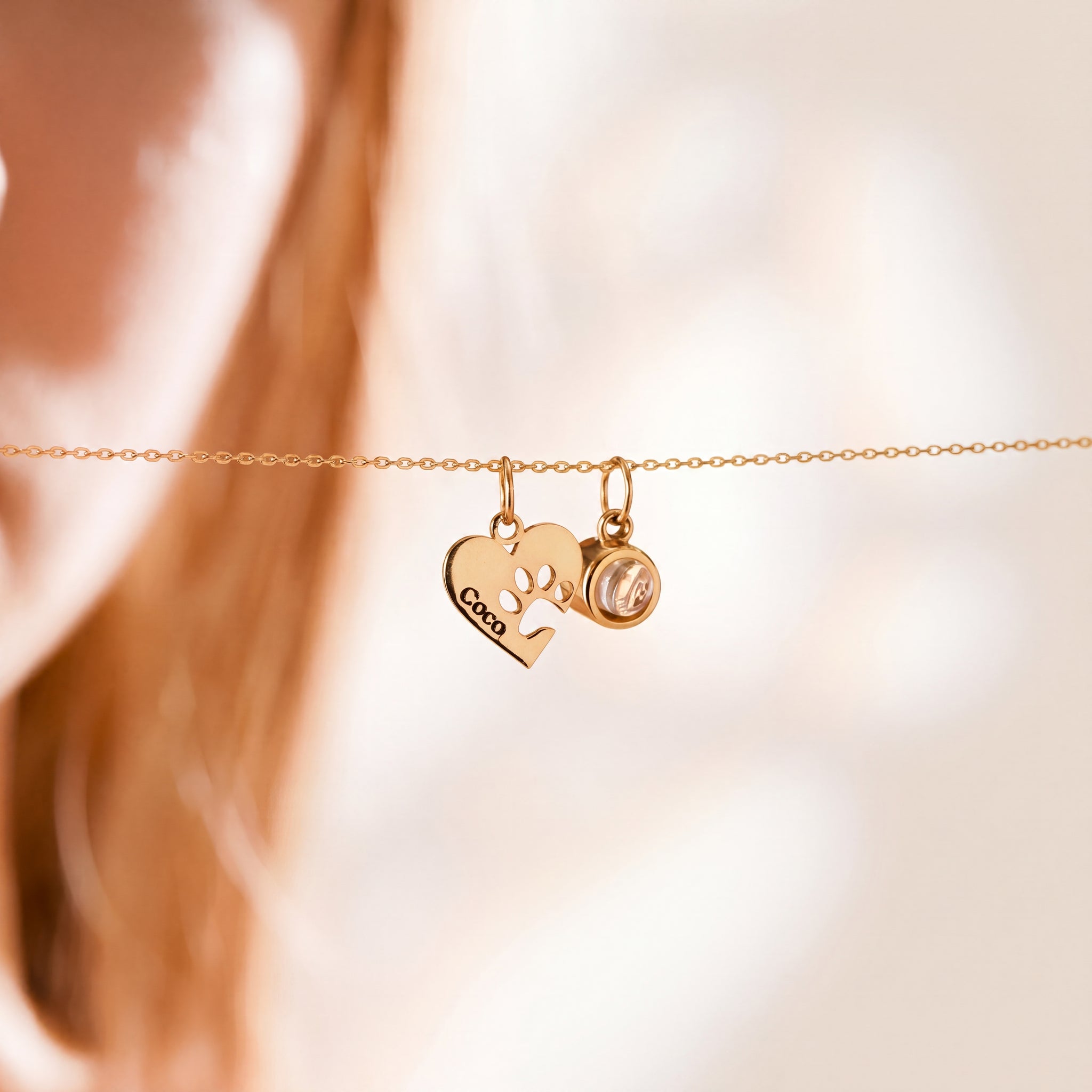 Custom Pet Photo Projection Necklace Engraved Paw Heart Pendant