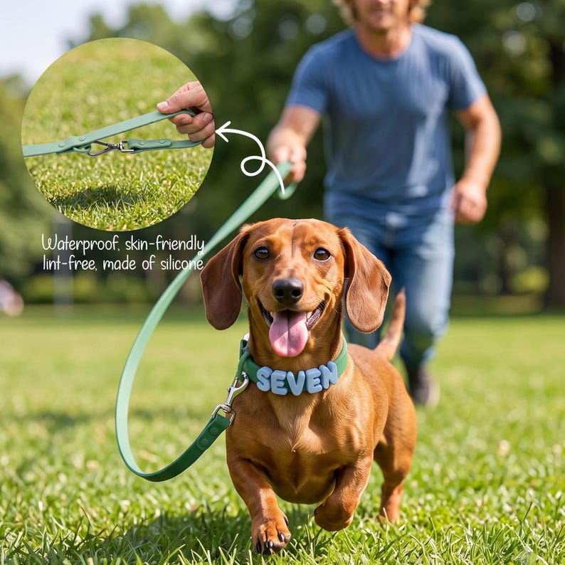 Custom 3D Letter Dog Collar Set