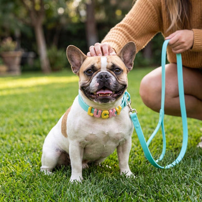 Custom 3D Letter Dog Collar Set