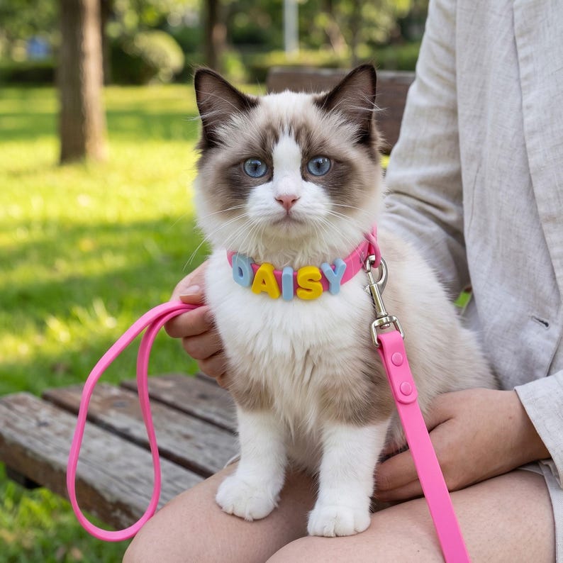 Custom 3D Letter Dog Collar Set