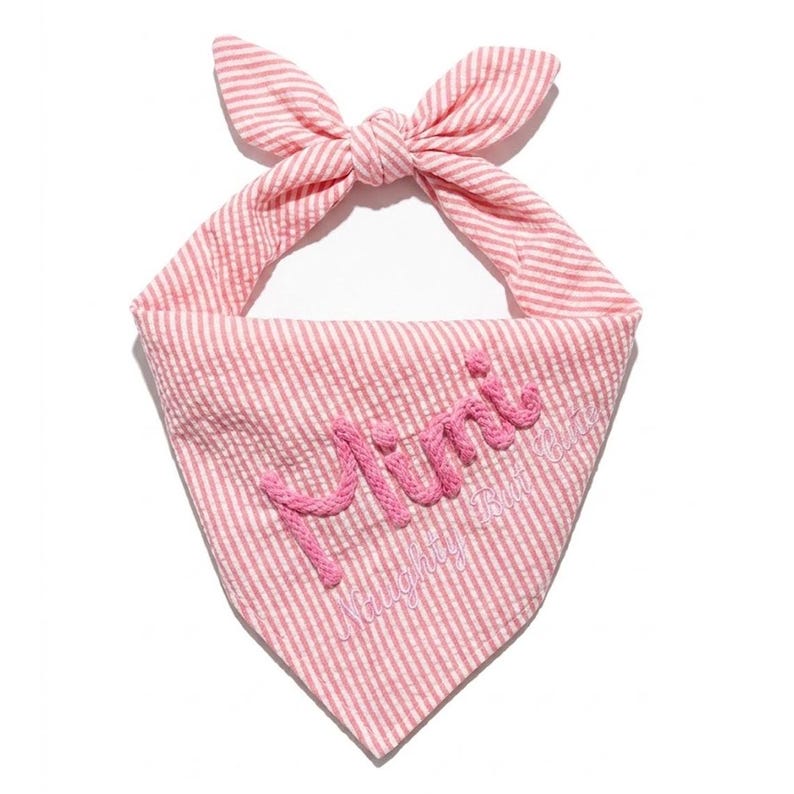 Custom Seersucker Dog Bandana with Matching Scrunchie