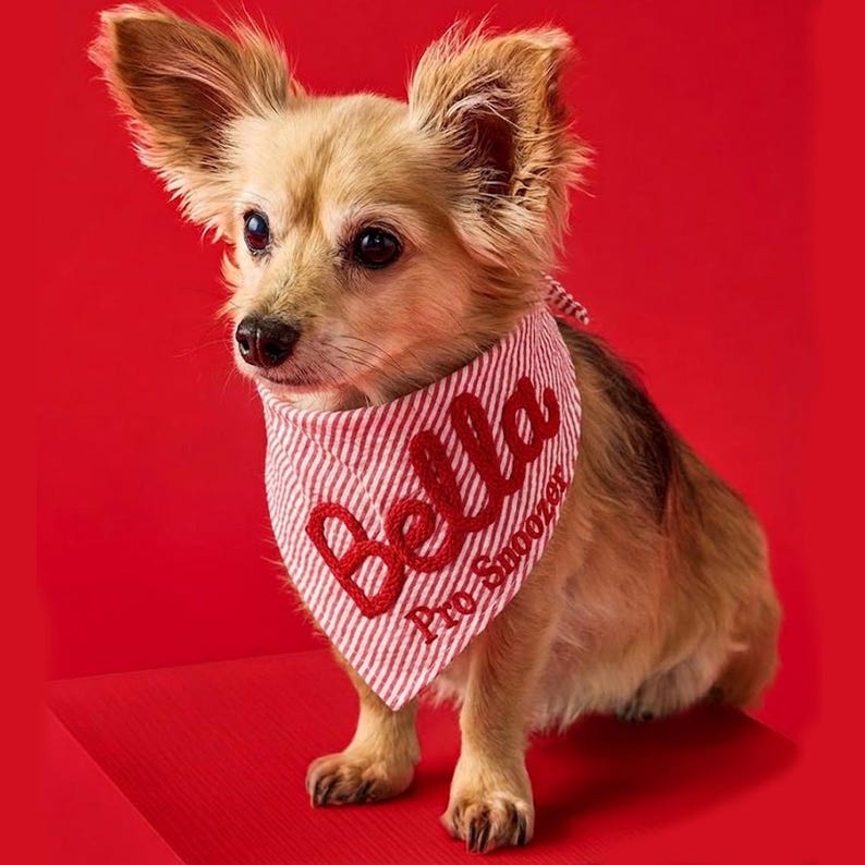 Custom Seersucker Dog Bandana with Matching Scrunchie