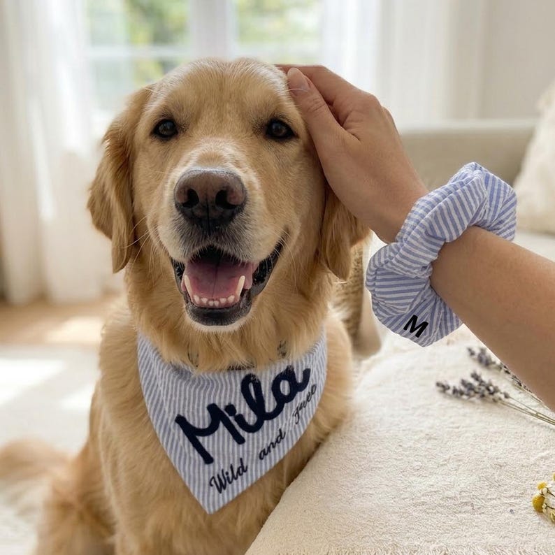 Custom Seersucker Dog Bandana with Matching Scrunchie