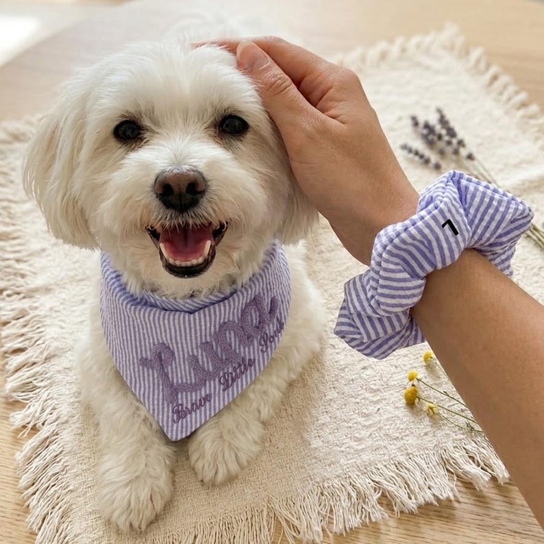 Custom Seersucker Dog Bandana with Matching Scrunchie