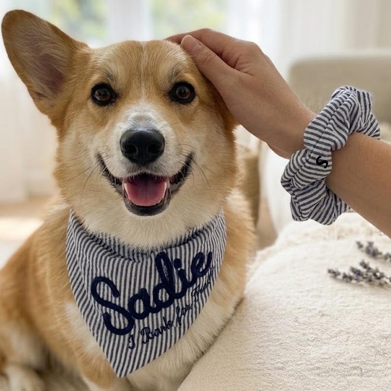 Custom Seersucker Dog Bandana with Matching Scrunchie