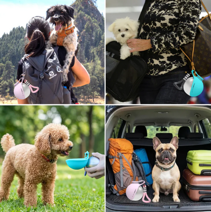 2-in-1 Leak-Proof Dog Water Bottle | 10oz Stainless Steel Ball-Shaped Travel Cup with Bowl