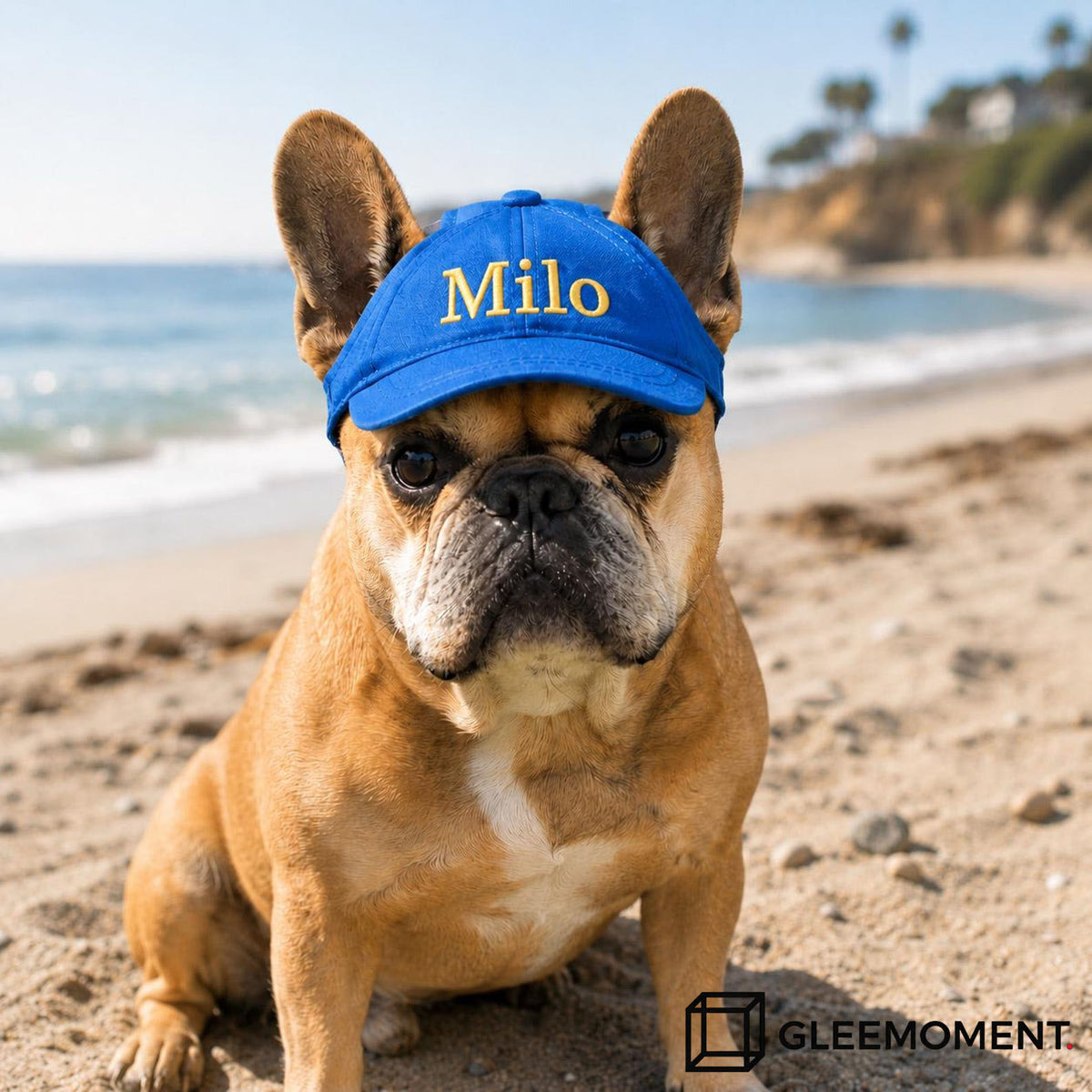Personalized Custom Name Ponytail Dog Baseball Cap