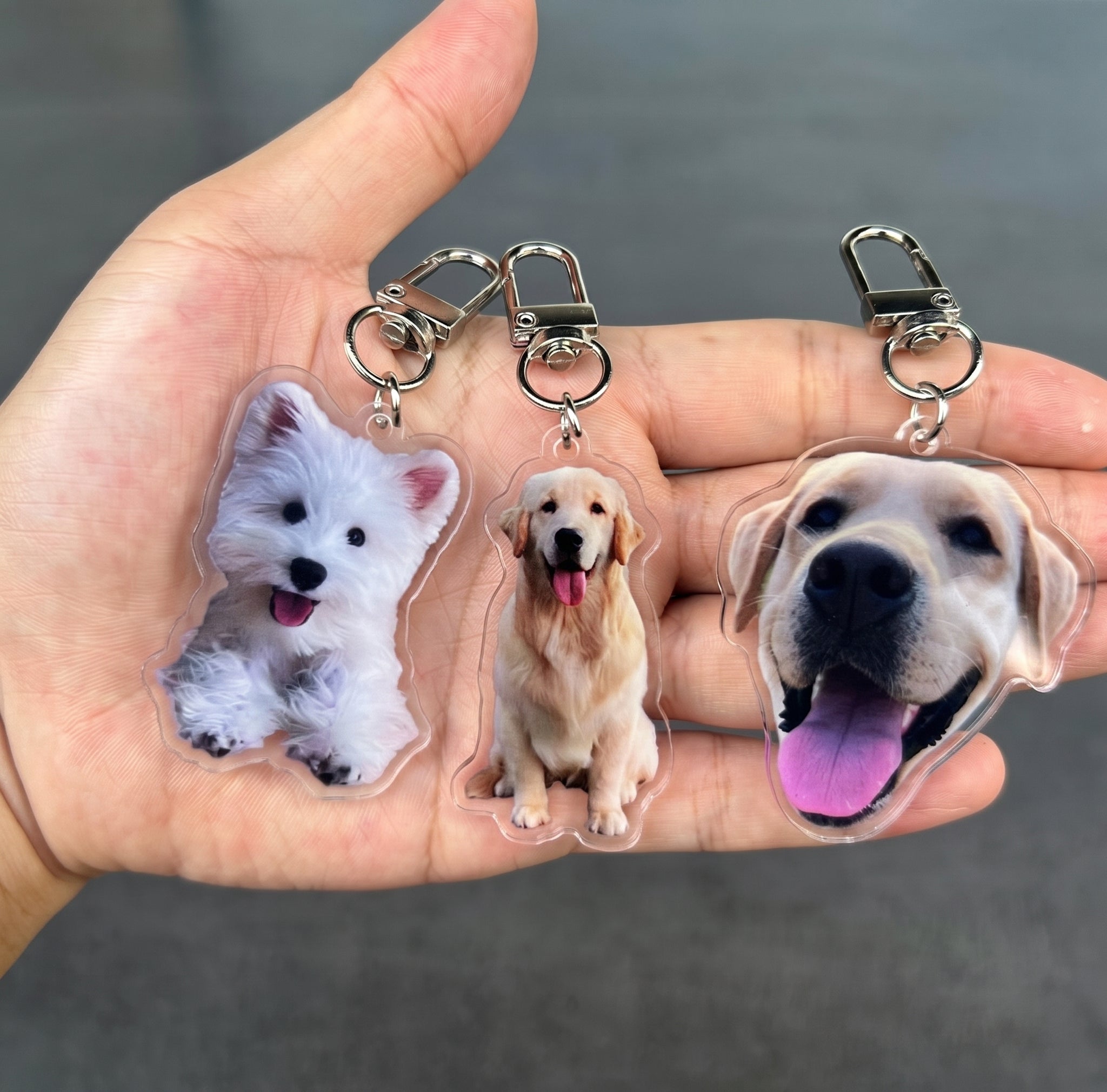 Custom Pet Photo Keychain | Forever With Me Pet Acrylic Keychain