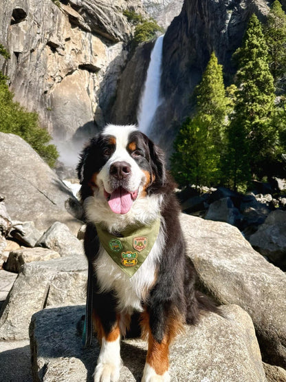 Personalized Adventure Patch Dog Bandana