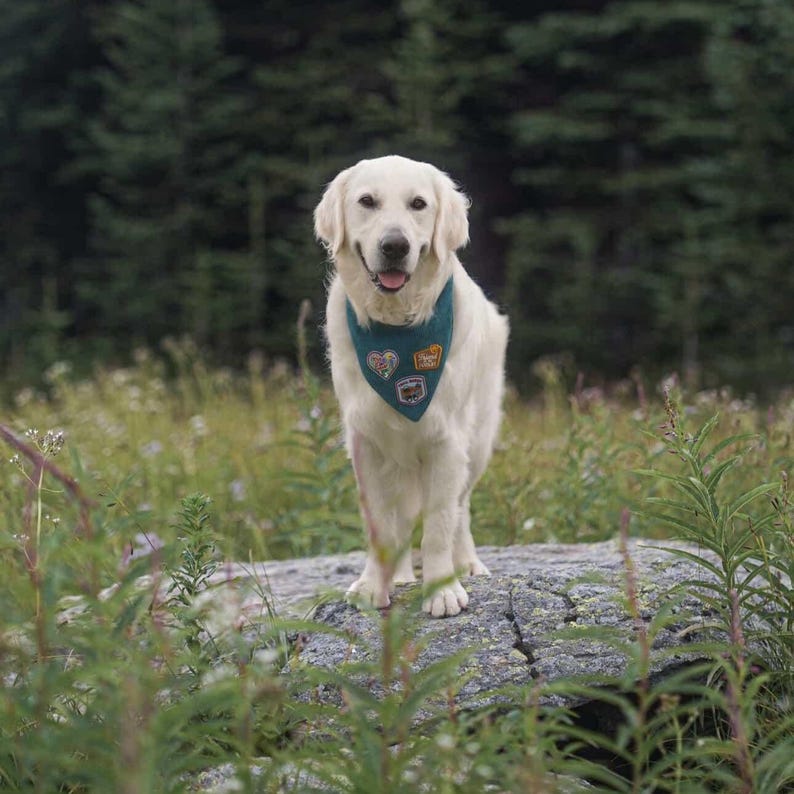 Personalized Adventure Patch Dog Bandana