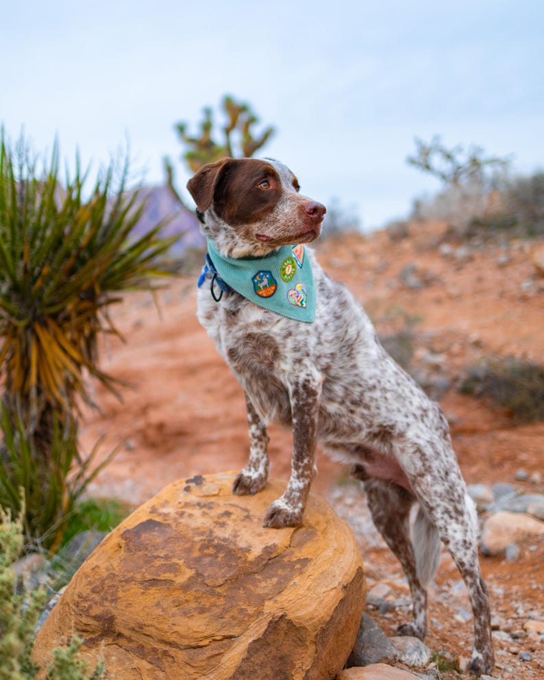 Personalized Adventure Patch Dog Bandana