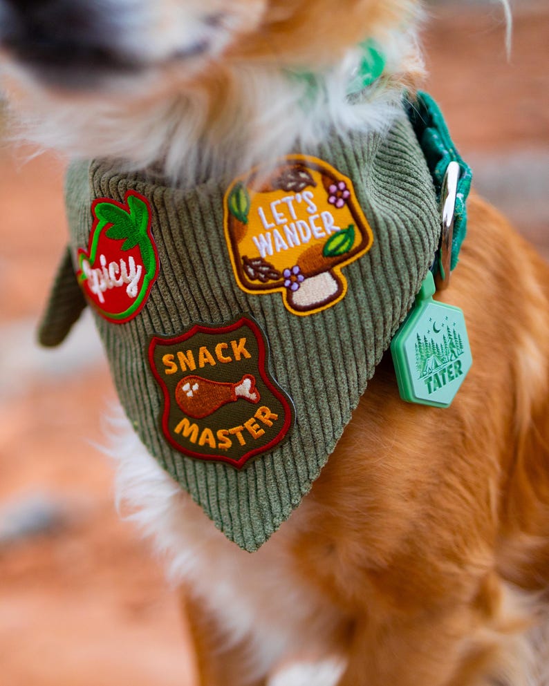 Personalized Adventure Patch Dog Bandana