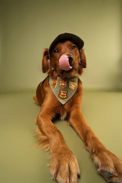 Personalized Adventure Patch Dog Bandana