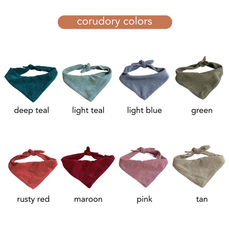 Personalized Adventure Patch Dog Bandana
