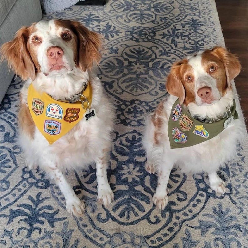 Personalized Adventure Patch Dog Bandana