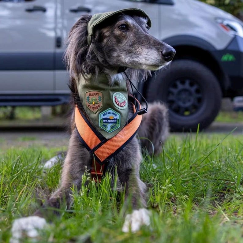 Personalized Adventure Patch Dog Bandana