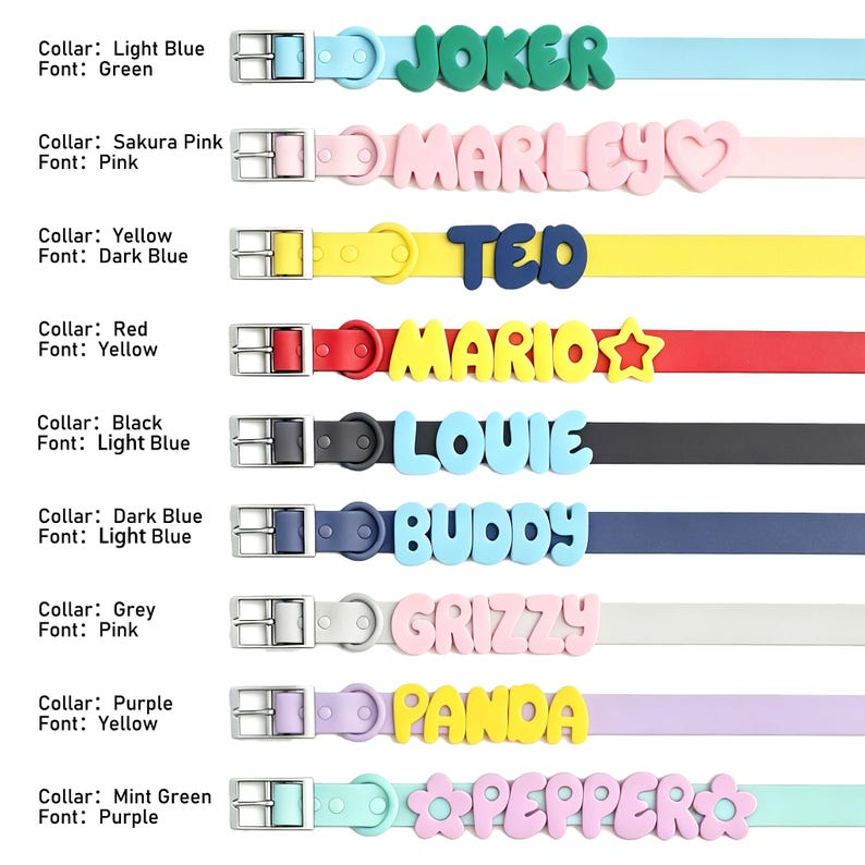 Personalized Bold Name Collar & Leash