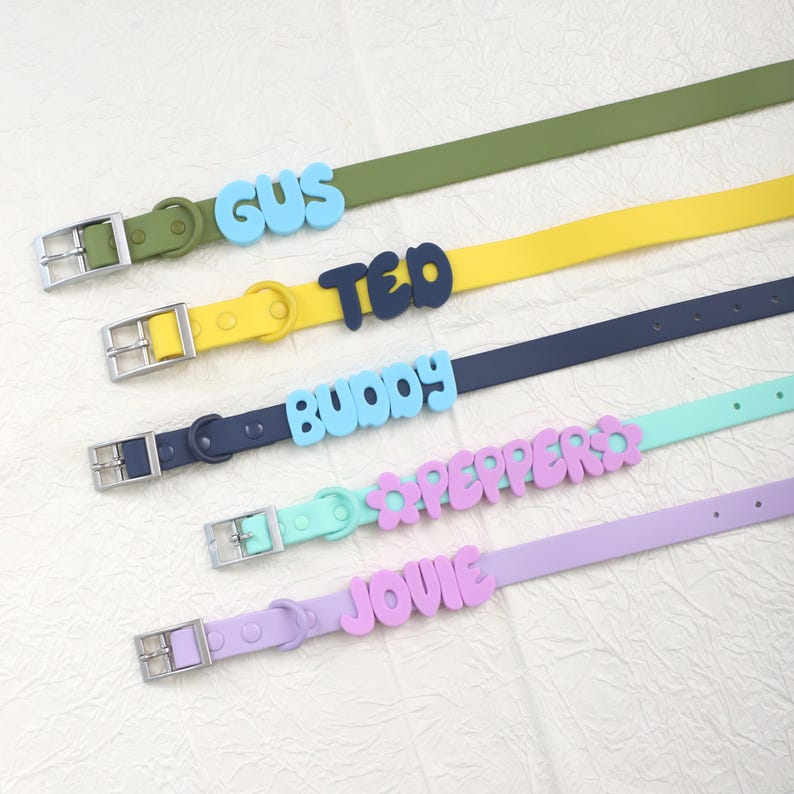 Personalized Bold Name Collar & Leash