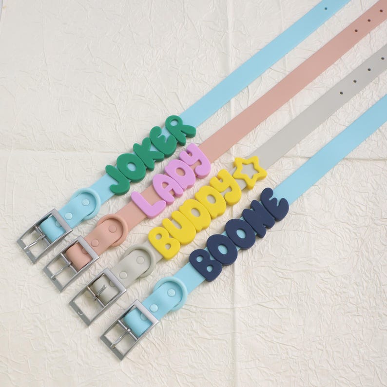Personalized Bold Name Collar & Leash