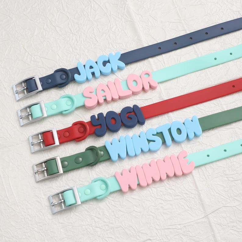 Personalized Bold Name Collar & Leash