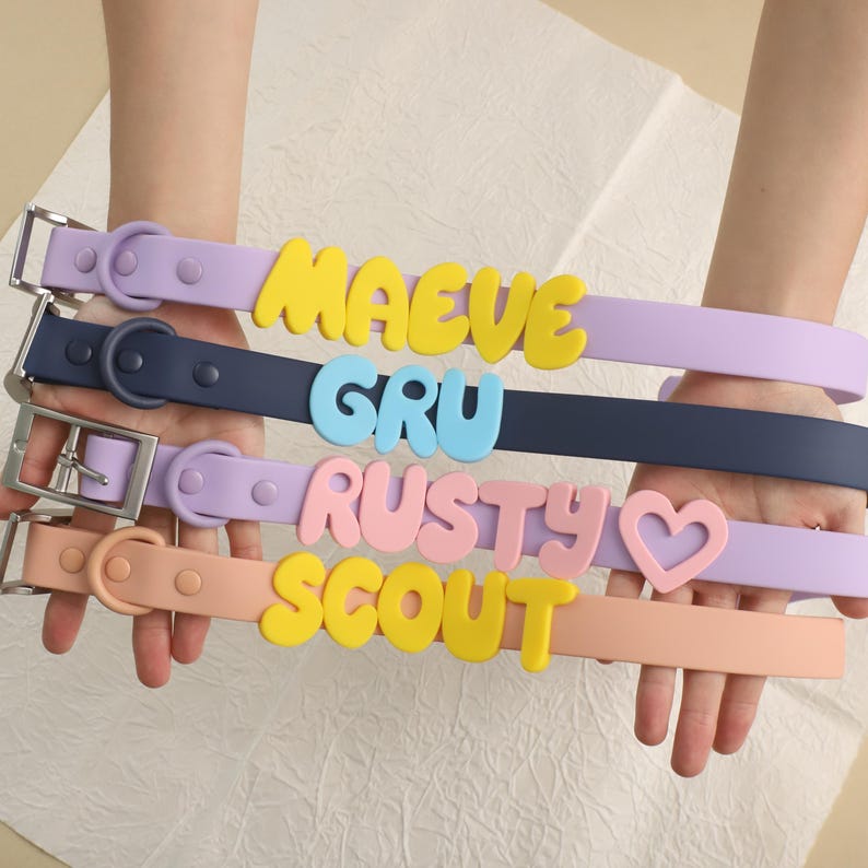 Personalized Bold Name Collar & Leash