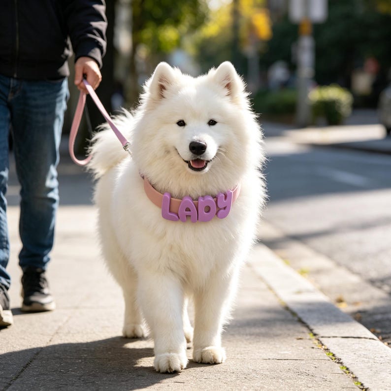 Personalized Bold Name Collar & Leash
