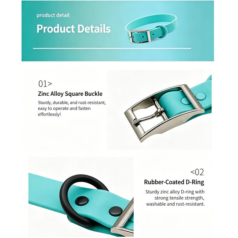 Personalized Bold Name Collar & Leash