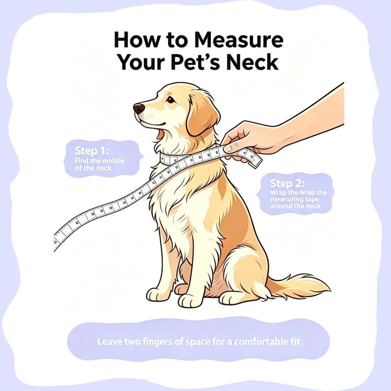 Personalized Bold Name Collar & Leash
