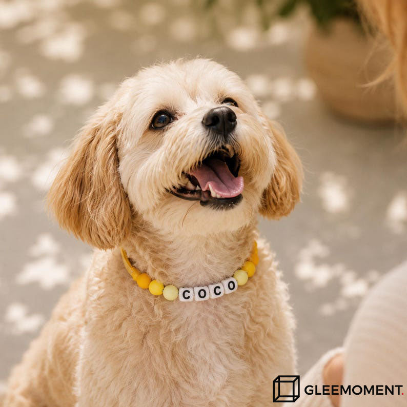 Personalized Beaded Name Collar & Leash