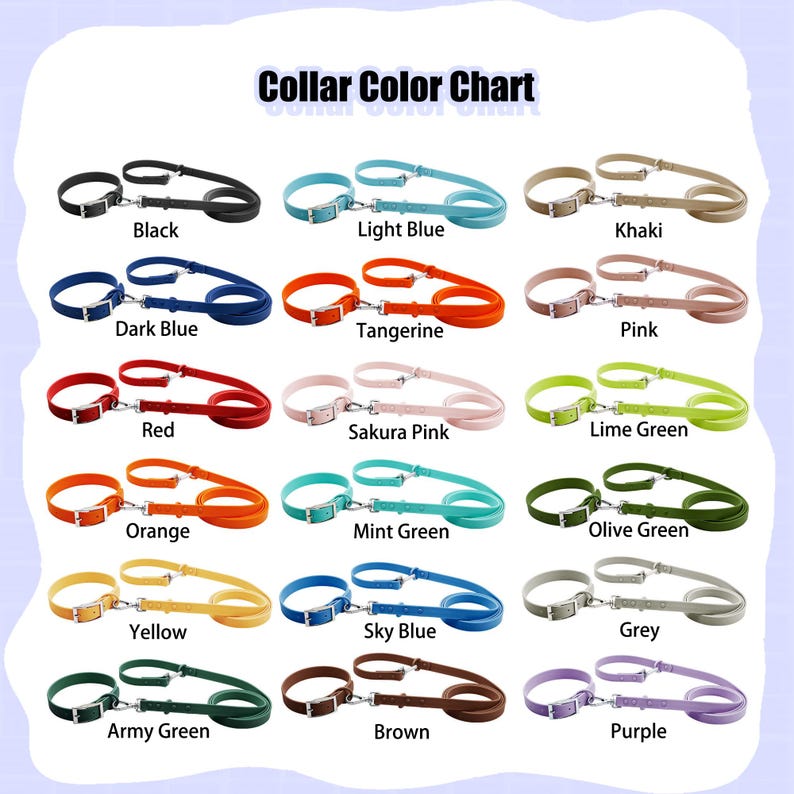 Personalized Bold Name Collar & Leash