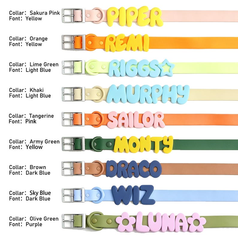 Personalized Bold Name Collar & Leash